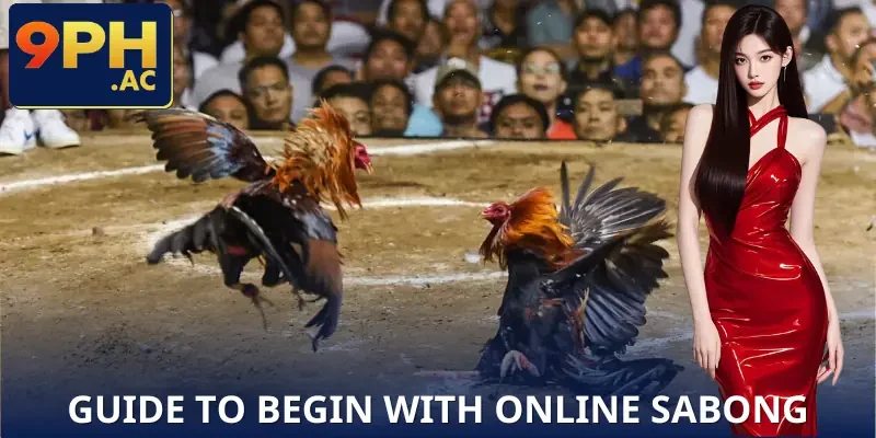 online-sabong-guide