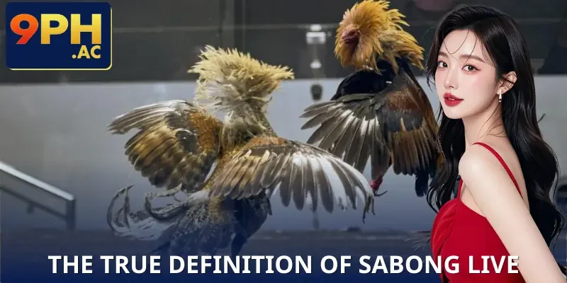 sabong-live-definition